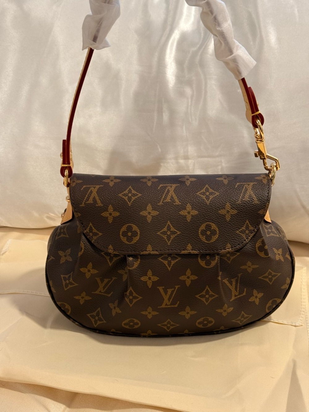 Luxury bag - Picture 10 of 13